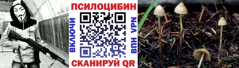 Галлюциногенные грибы GOLDEN TEACHER  сколько стоит  Павлово 